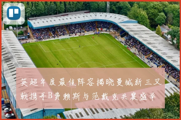 英超年度最佳阵容揭晓曼城新三叉戟携手B费赖斯与范戴克共襄盛举