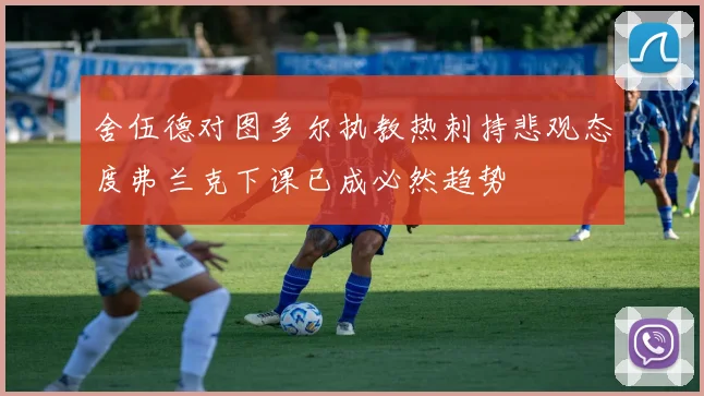 舍伍德对图多尔执教热刺持悲观态度弗兰克下课已成必然趋势