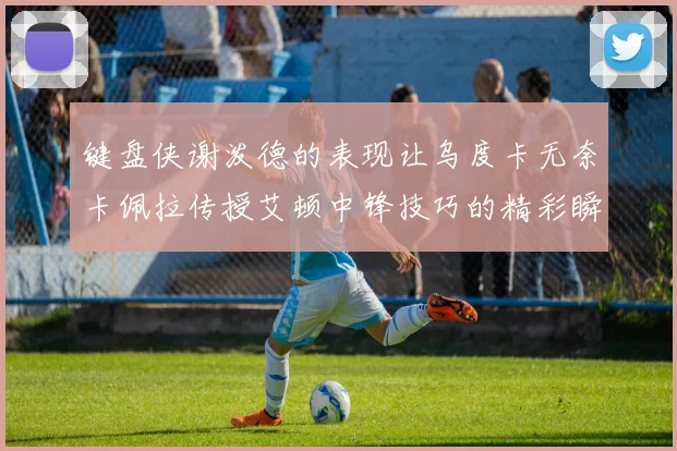 键盘侠谢泼德的表现让乌度卡无奈卡佩拉传授艾顿中锋技巧的精彩瞬间
