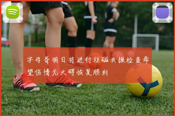 字母哥明日将进行核磁共振检查希望伤情无大碍恢复顺利