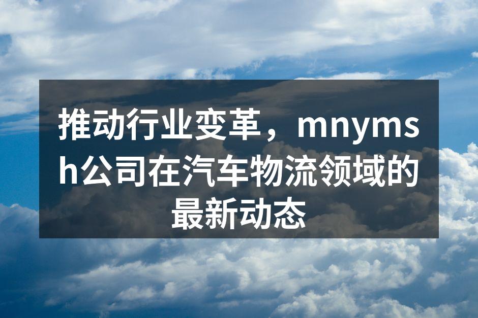 mnymsh公司物流中心全景图