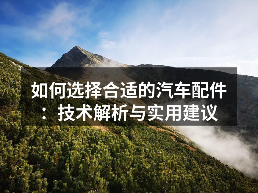 高质量汽车配件